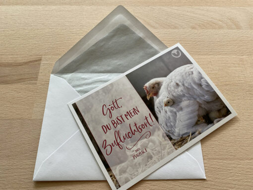 Postkarte Din A6 „Du bist mein Zufluchtsort“, mit Umschlag
