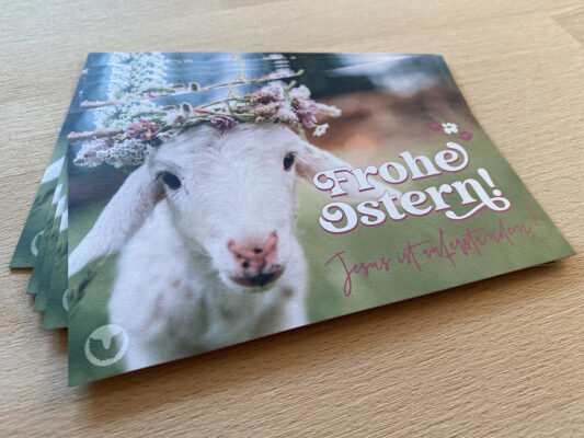 Beitragsbild Postkarten "Frohe Ostern (Lamm)"