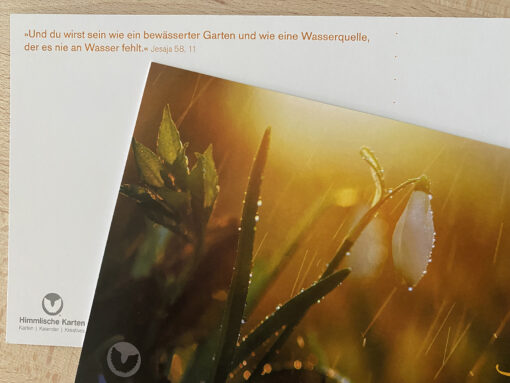 Postkarte "Bewässerter Garten" (Din lang)